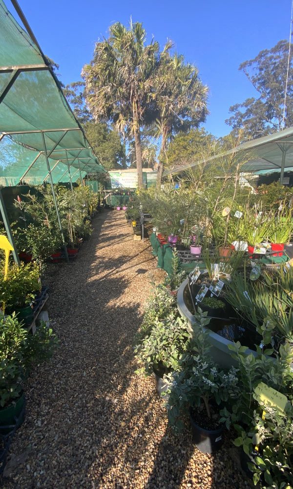 Garden Store in Toowoomba, QLD